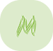 Minted icon